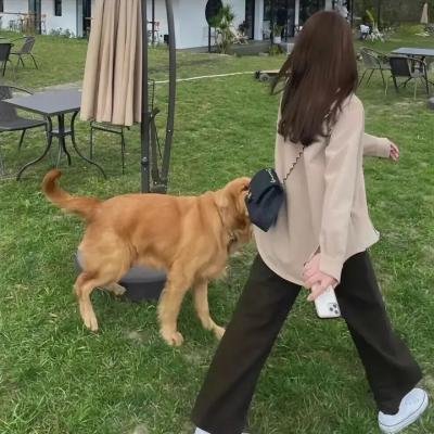 爱的怪物论